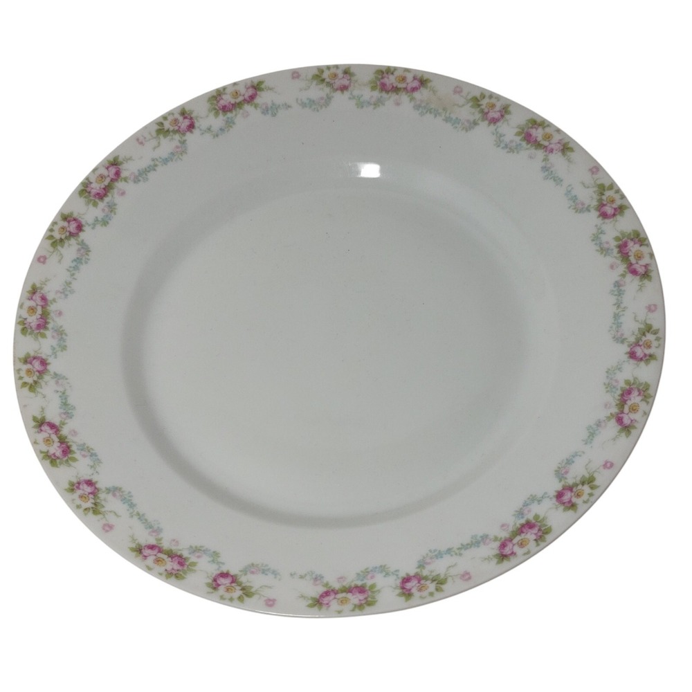 Antique Adolph Persch Floral Plate AP Austria 9.5 Inches Circa 1900s Pink Blue
